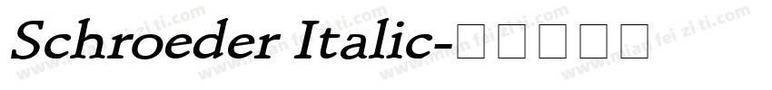 Schroeder Italic字体转换